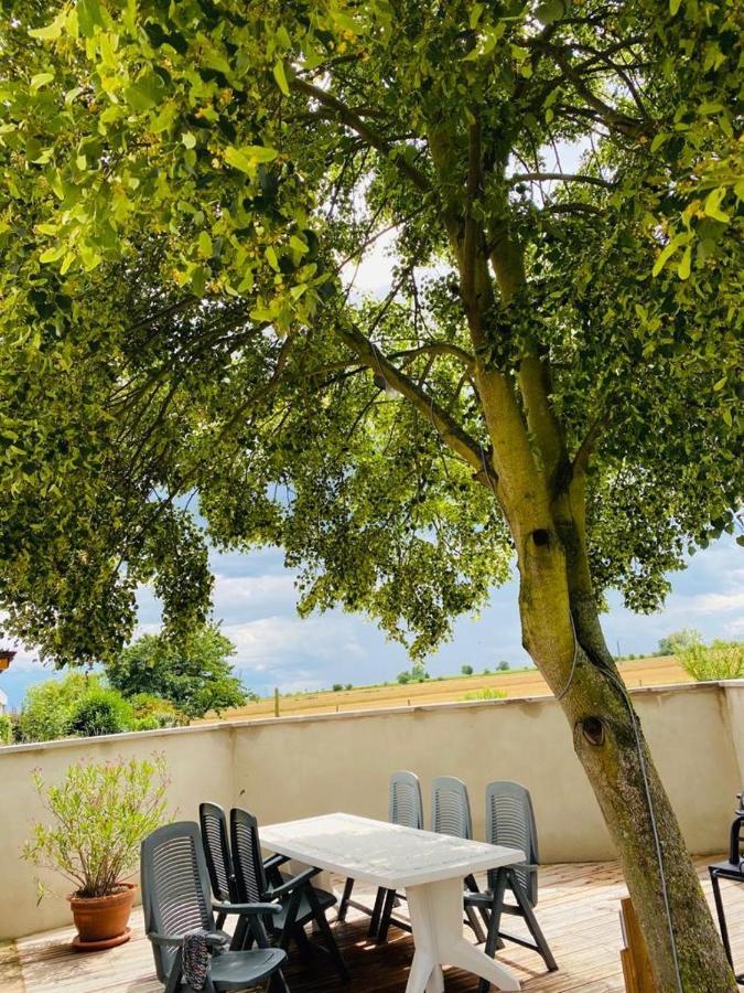 Gite Spa La Grange Kintzheim Exteriör bild