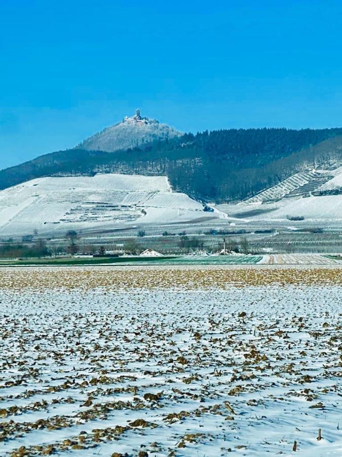 Gite Spa La Grange Kintzheim Exteriör bild