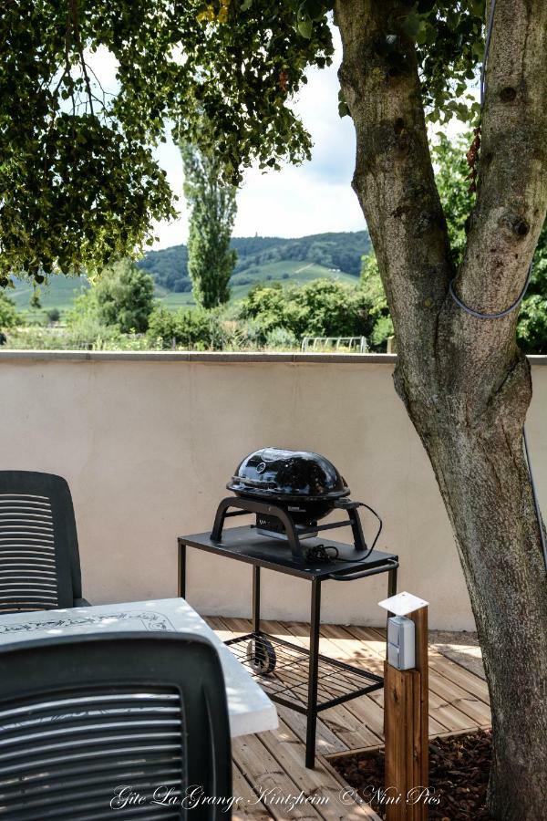 Gite Spa La Grange Kintzheim Exteriör bild