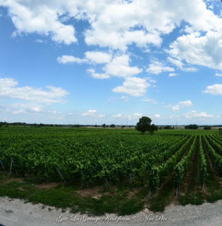Gite Spa La Grange Kintzheim Exteriör bild